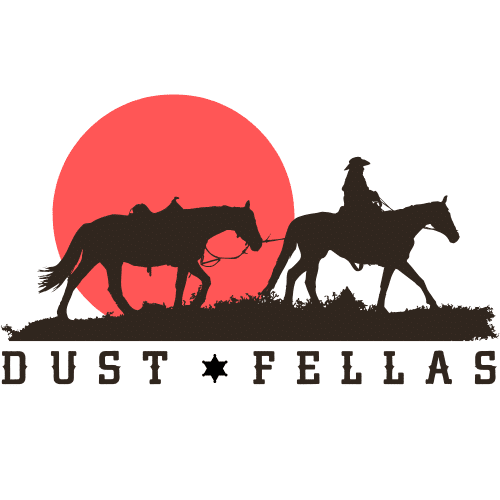 Dust Fell As